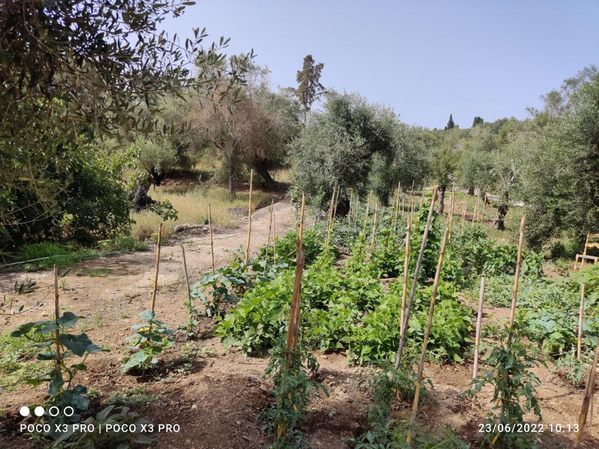 Corfu Oasis Studio Neochorakion Екстер'єр фото
