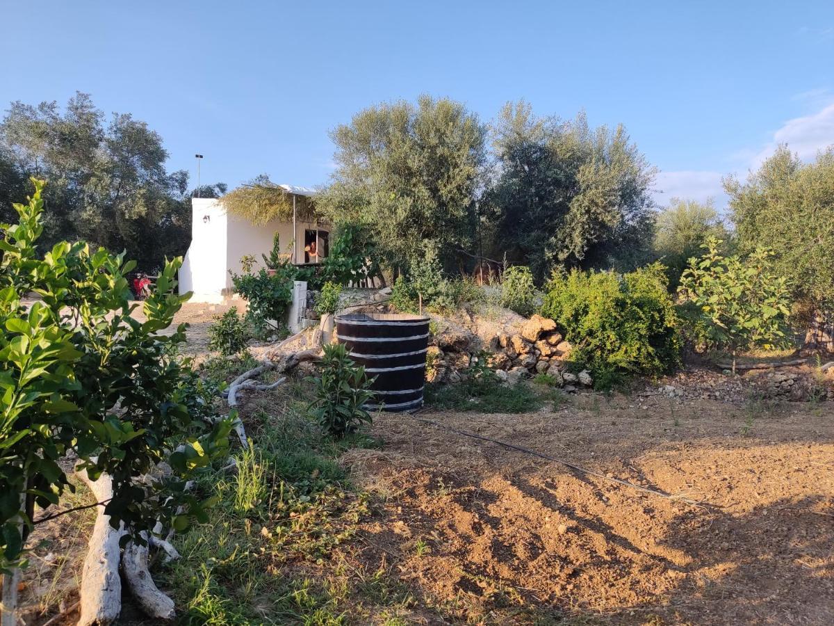 Corfu Oasis Studio Neochorakion Екстер'єр фото